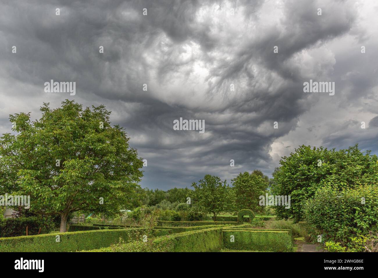 Storm approaching over a green garden on a summer afternoon Stock Photo