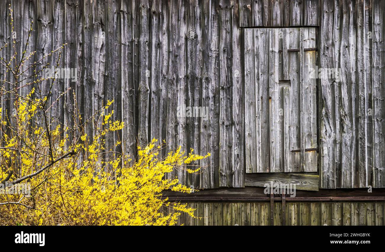 The broom in front of the wooden door Stock Photo Alamy