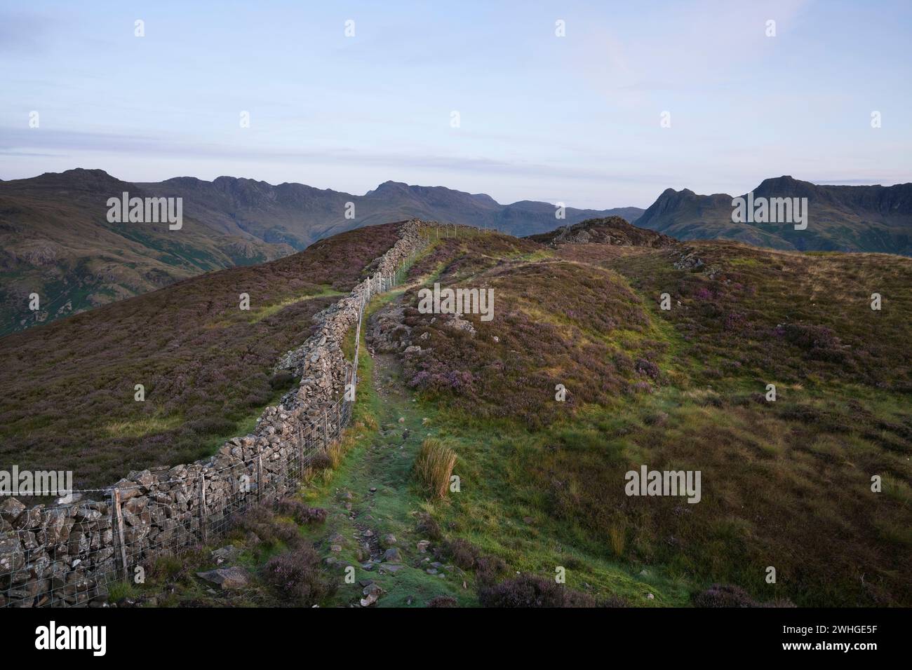 Long Summit Ridge The summit ridge of Lingmoor Fell before dawn in the Lake District ...