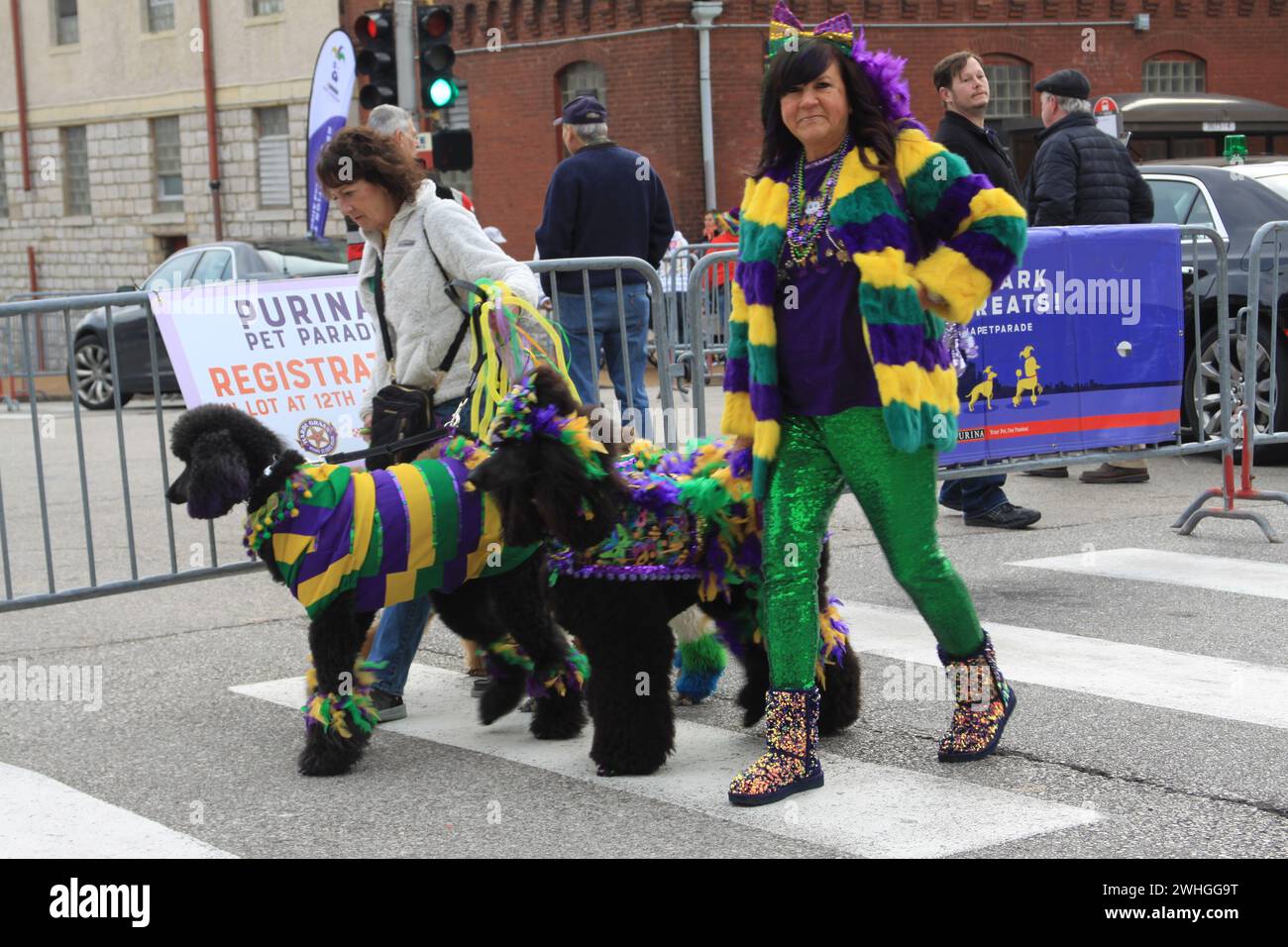 Purina Pet Parade 2024. On the streets of SoulardSt. Louis, Missouri, USA people celebrated