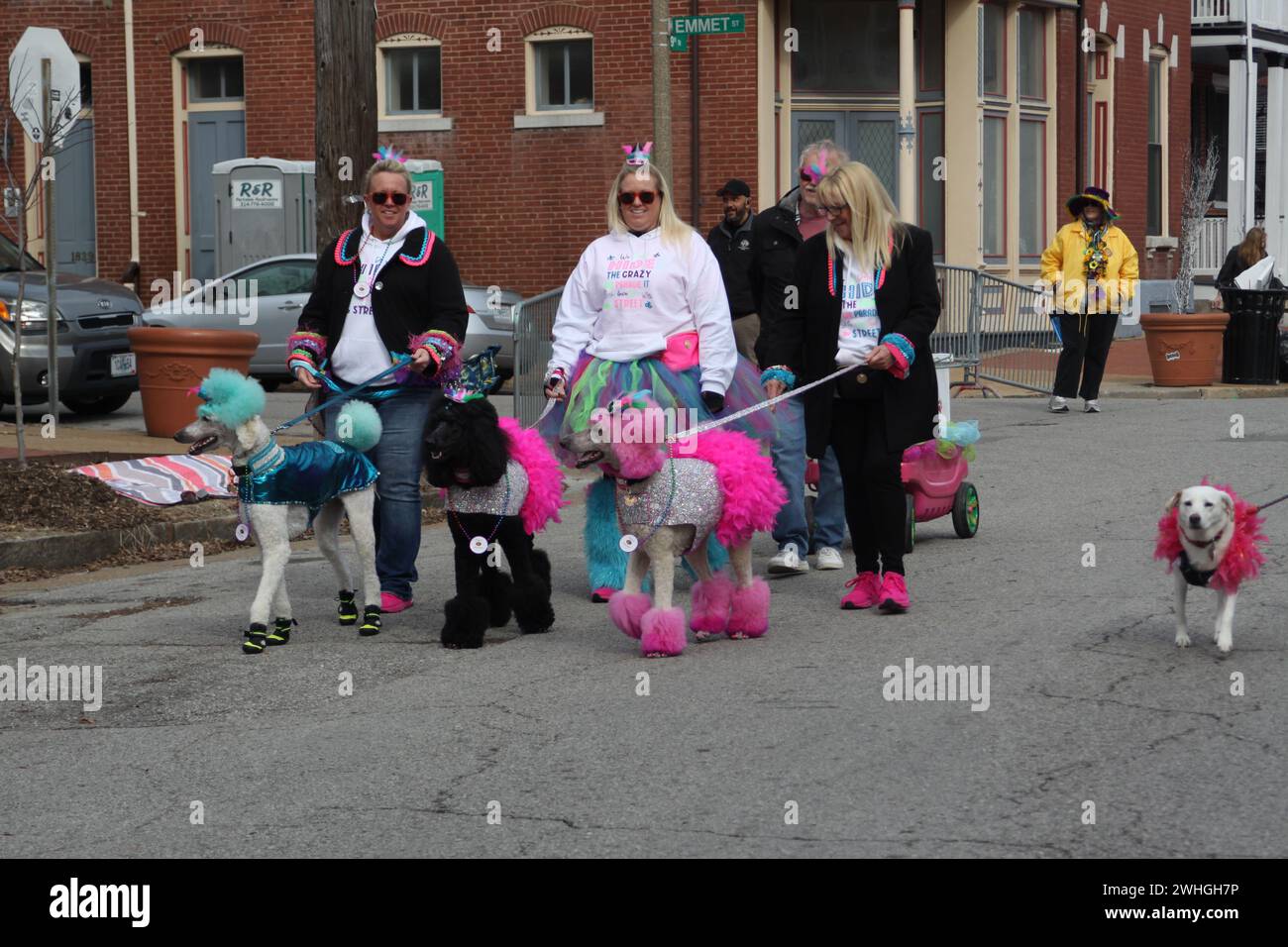 Purina Pet Parade 2024. On the streets of SoulardSt. Louis, Missouri, USA people celebrated
