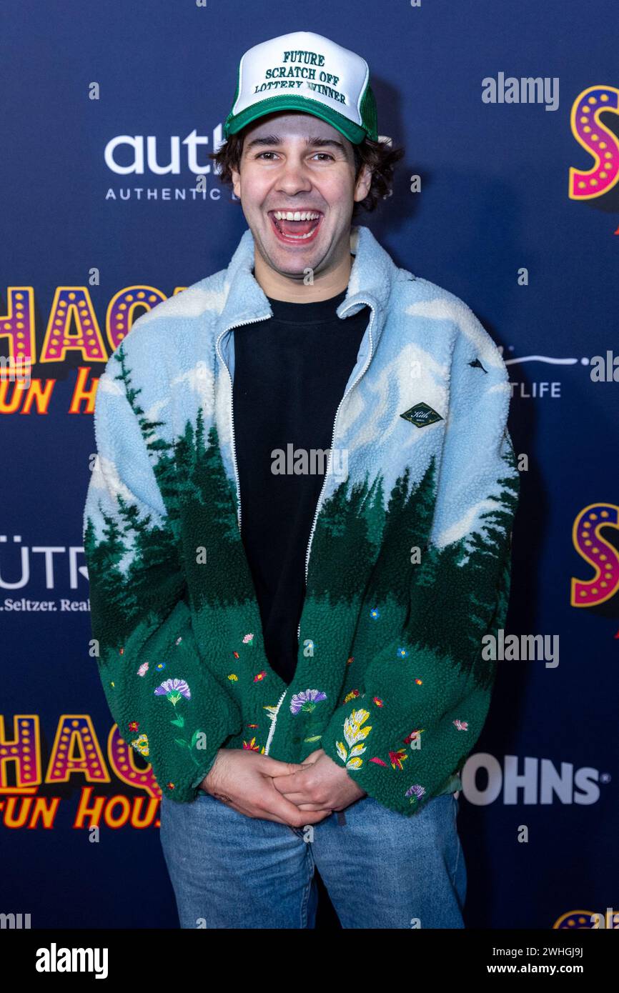 Las Vegas, USA. 10th Feb, 2024. David Dobrik, Internet Personality ...