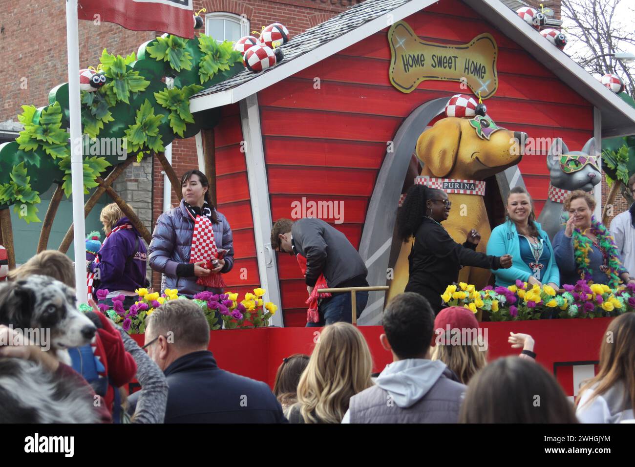 Purina Pet Parade 2024 is held on the streets of SoulardSt. Louis, Missouri, USA. The parade is