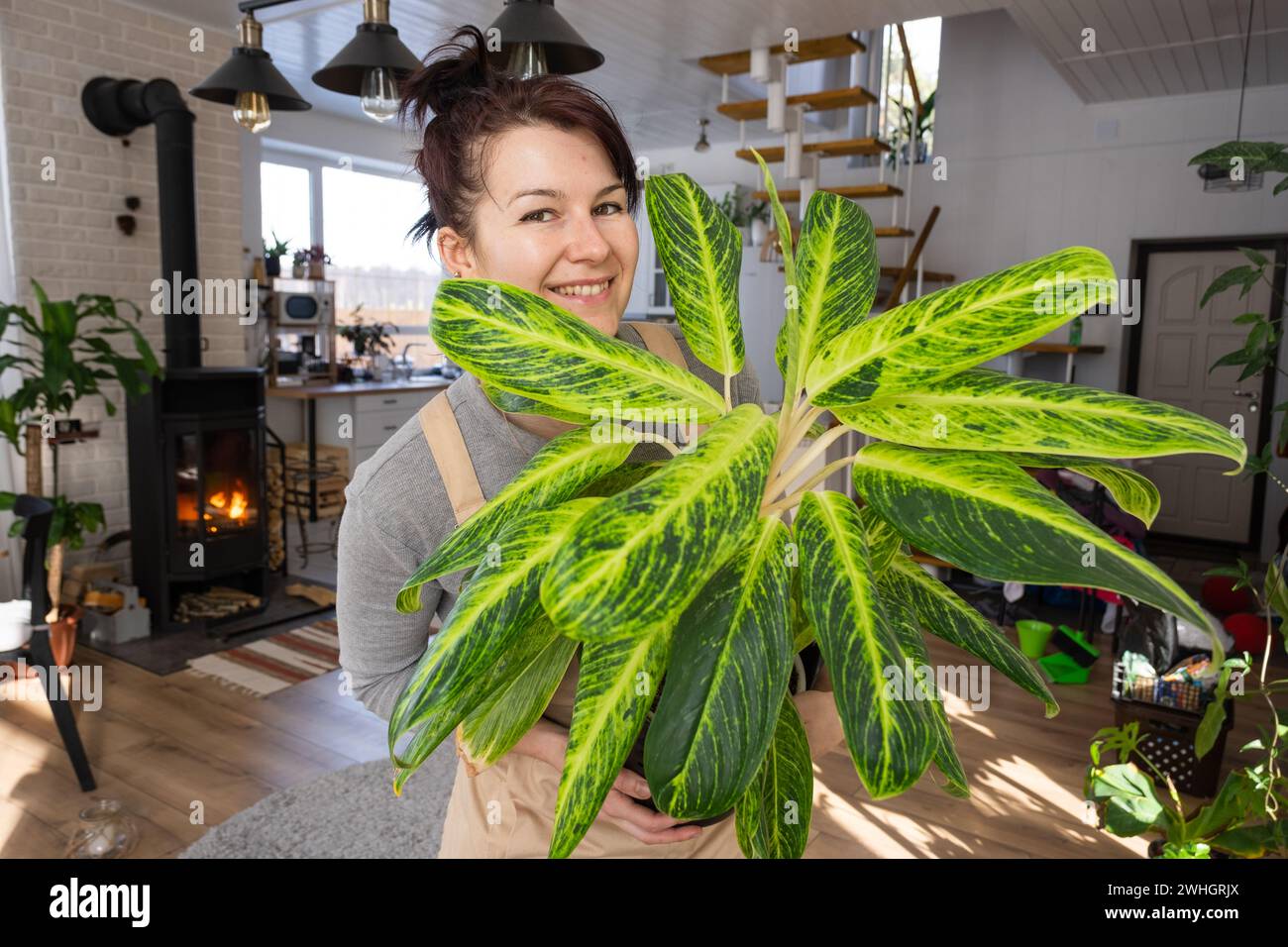 A happy woman in a green house with a potted plant in her hands smiles, takes care of a flower. The interior of a cozy eco-frien Stock Photo