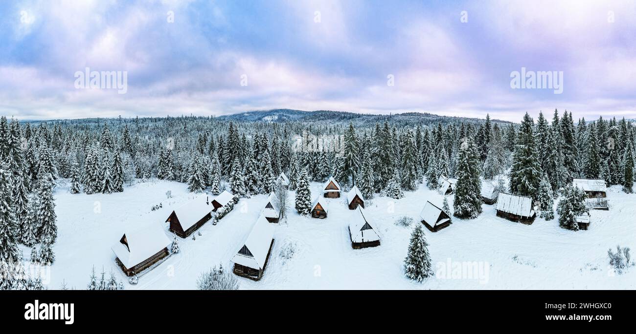 Aerial view snowy forest houses hi-res stock photography and images - Alamy