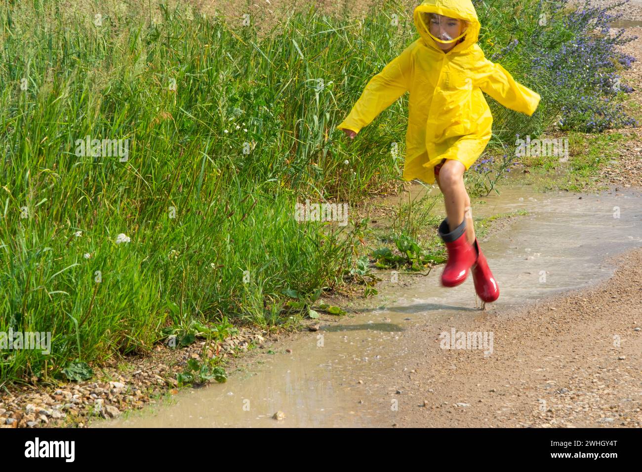 A girl in red rubber boots and a yellow raincoat runs through puddles ...