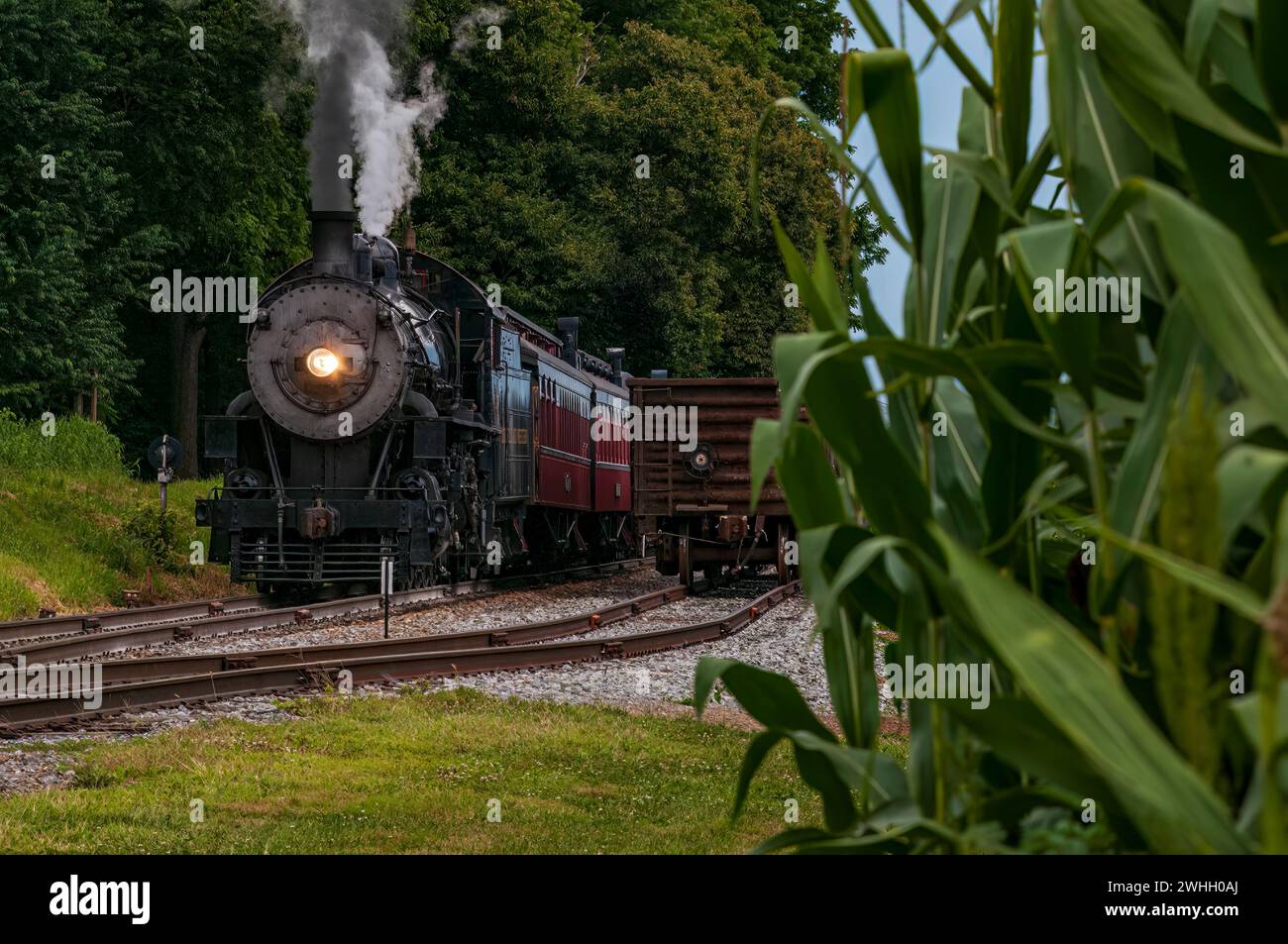 Front View of a Steam Locomotive Blowing Smoke and Steam With Freight and Corn Stalks on the Right Stock Photo