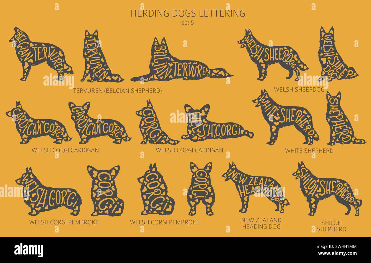 Dog breeds silhouettes with lettering, simple style clipart. Herding dogs, sheepdog, shepherds collection.  Vector illustration Stock Vector