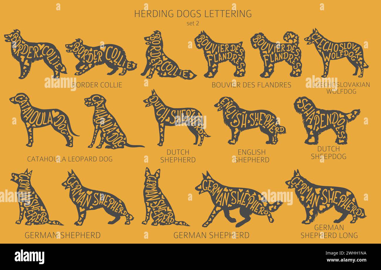 Dog breeds silhouettes with lettering, simple style clipart. Herding ...