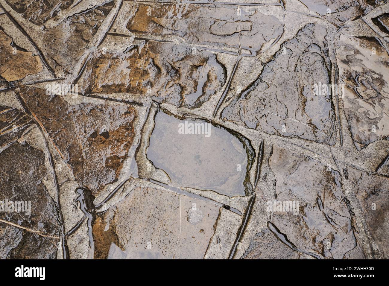 Whitestone Raining Rain rainy humid wet weather hi-res stock photography and images - Alamy