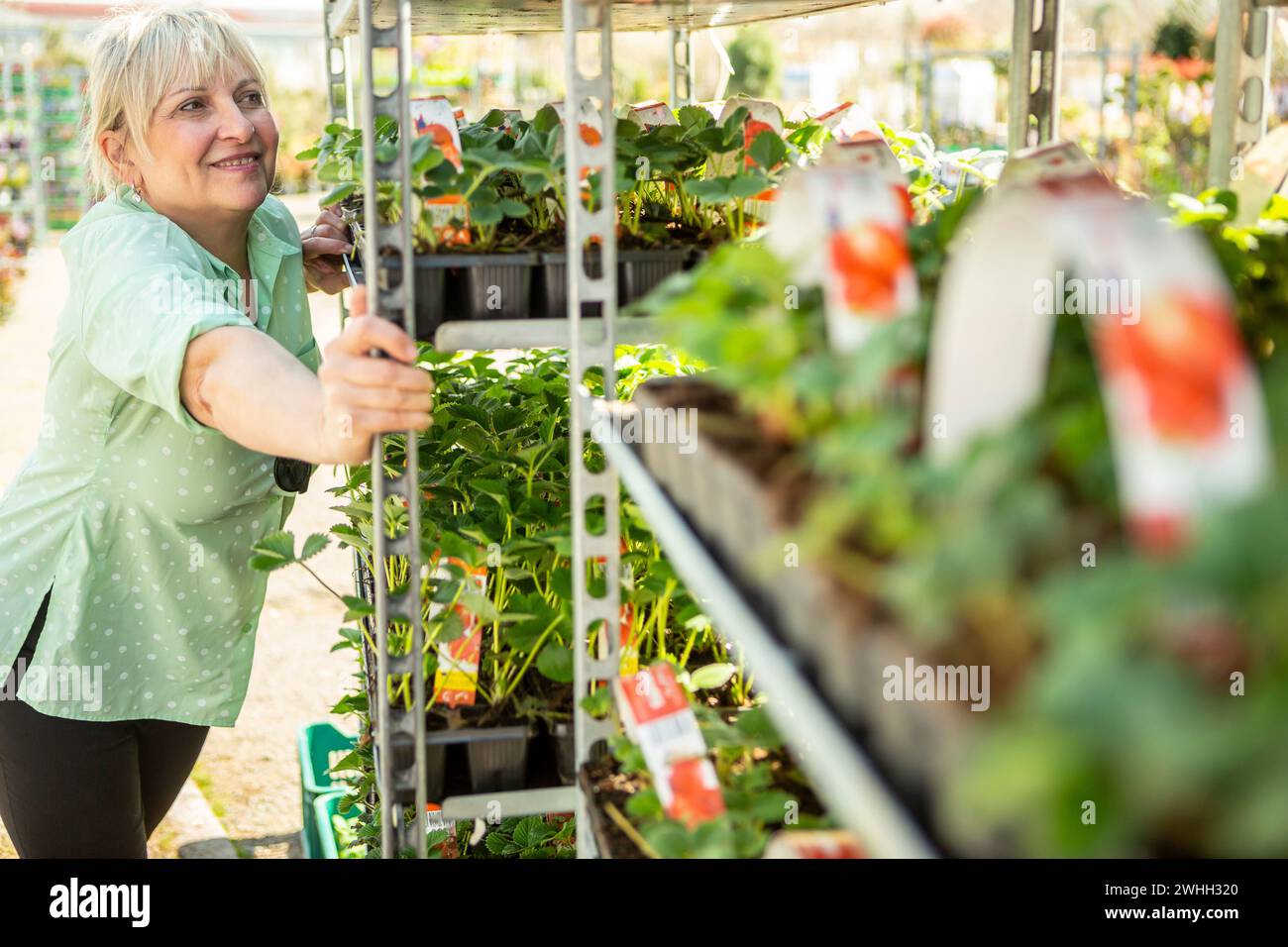 Female garden center plants hi-res stock photography and images - Alamy