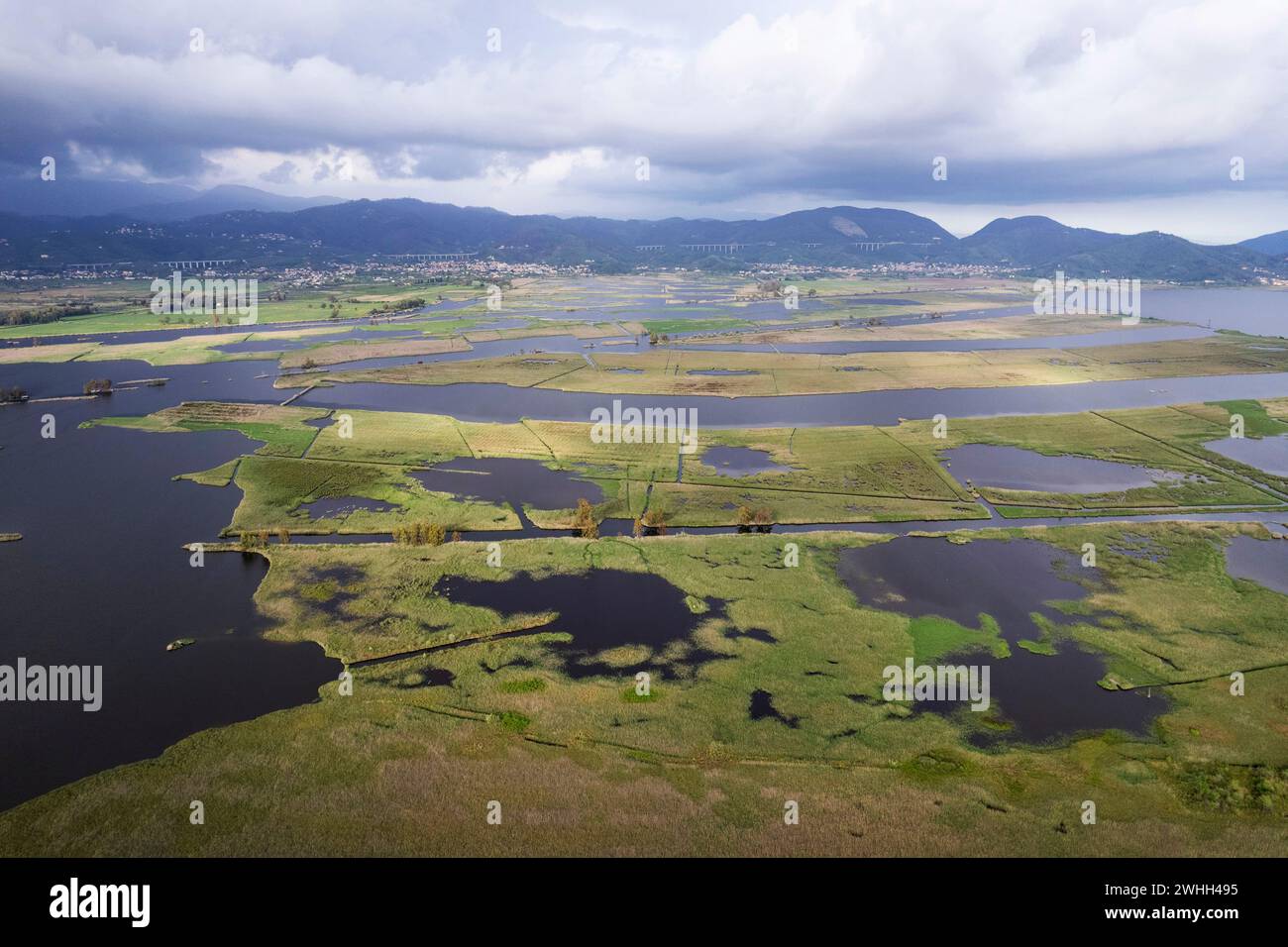 Aerial view of the marshy area of Lake Massaciuccoli Stock Photo