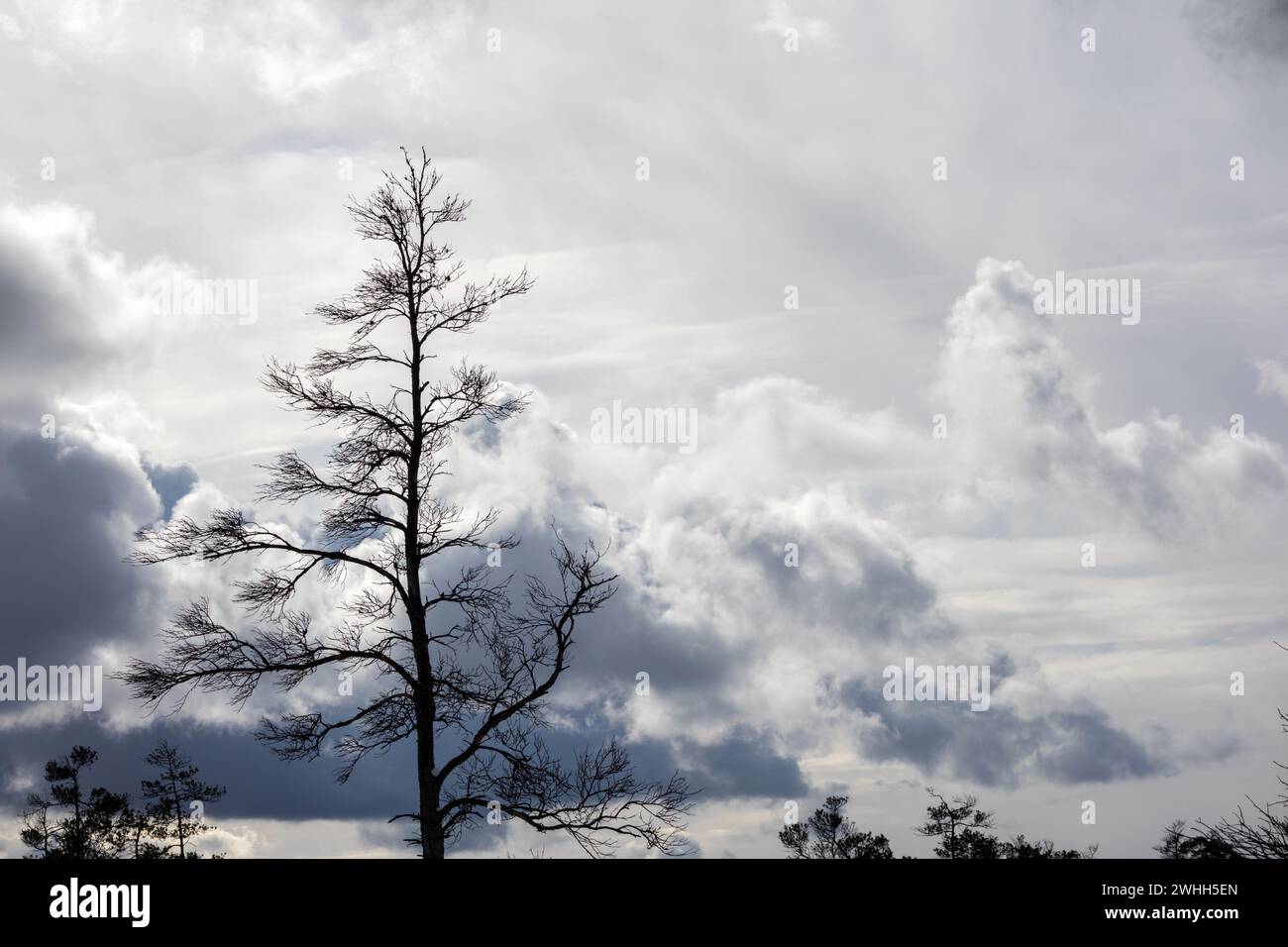 ominous black and white dark clouds in the sky before a storm with ...