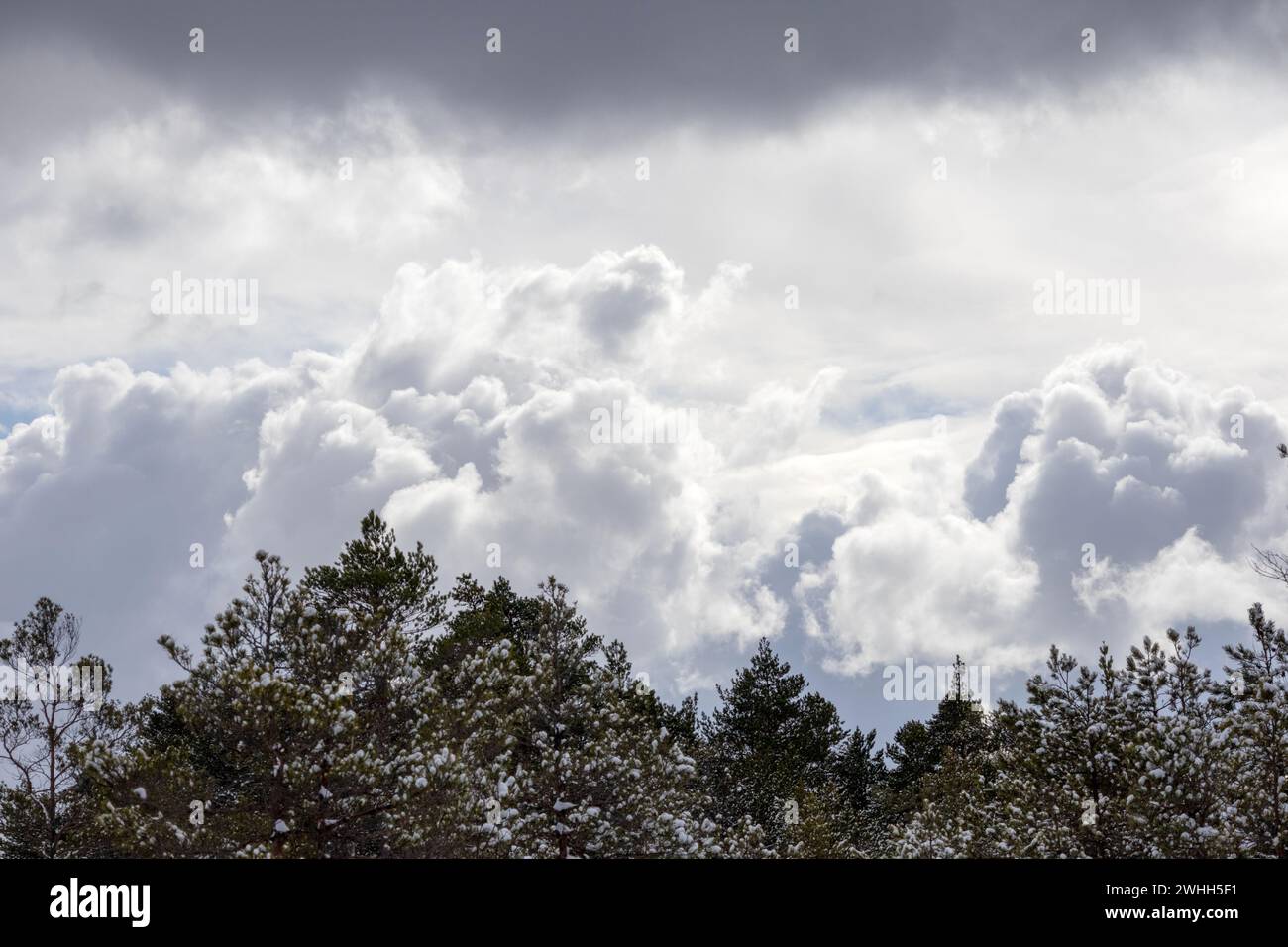 ominous black and white dark clouds in the sky before a storm with ...