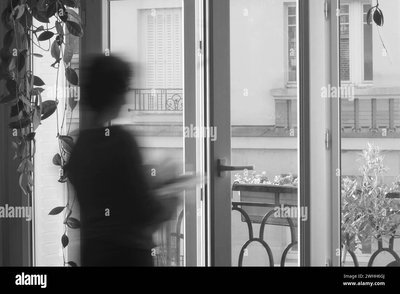 reading by the window Stock Photo - Alamy