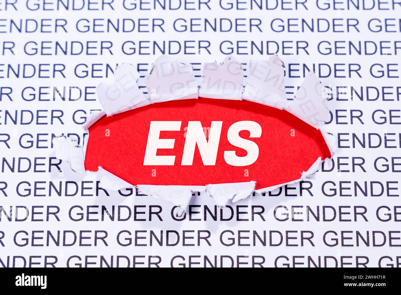 Stuttgart, Germany - January 23, 2024: Gendern ENS As A Symbol For Gender-responsive Language Communication Concept In Stuttgart, Germany. Stock Photo