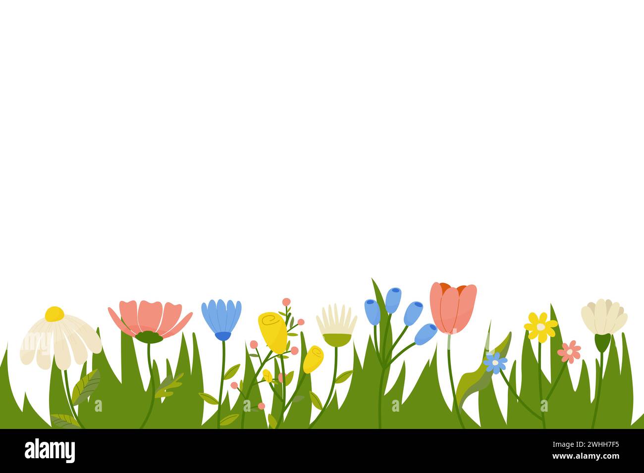 Horizontal botanical background with a set of spring summer flowers ...