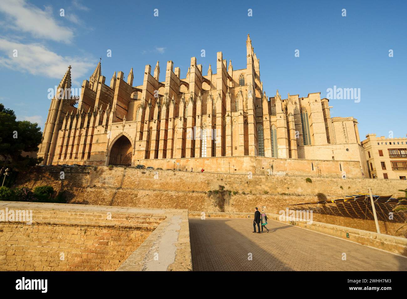 Cathedral of Mallorca Stock Photo