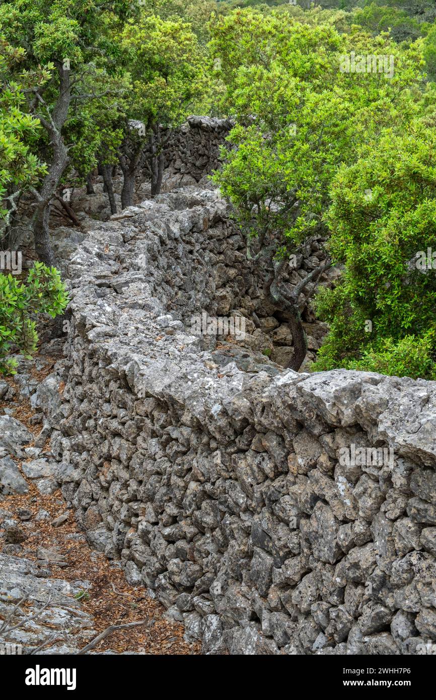Muro tradicional de piedra - Pedre en Sec - Fita del Ram Stock Photo