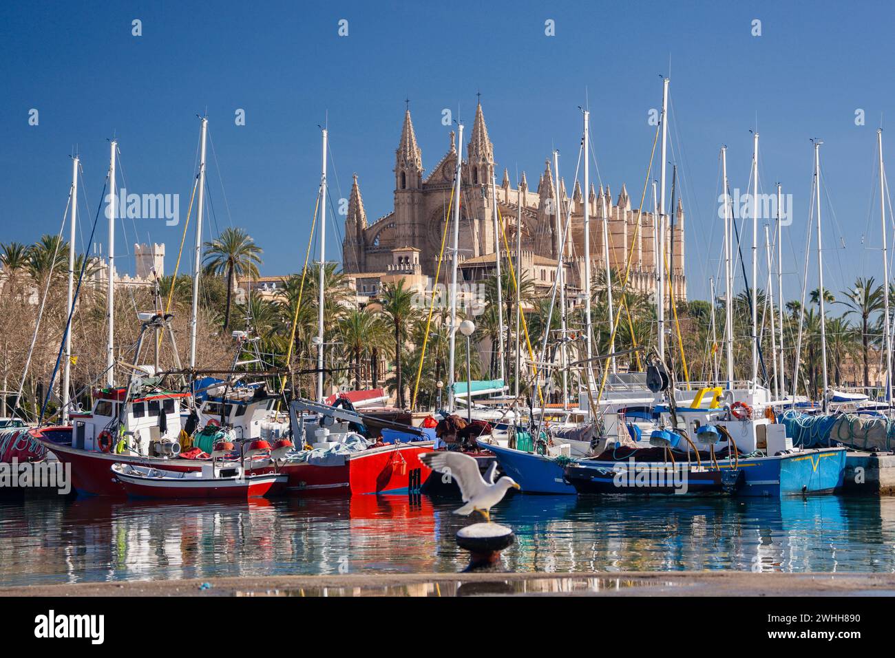 Cathedral of Palma from Moll de la Riba Stock Photo