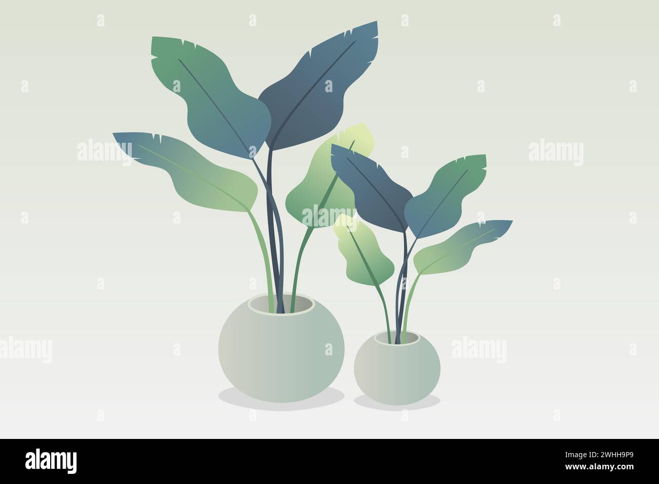 Tropical home plants in pots. Vector illustration. Stock Vector