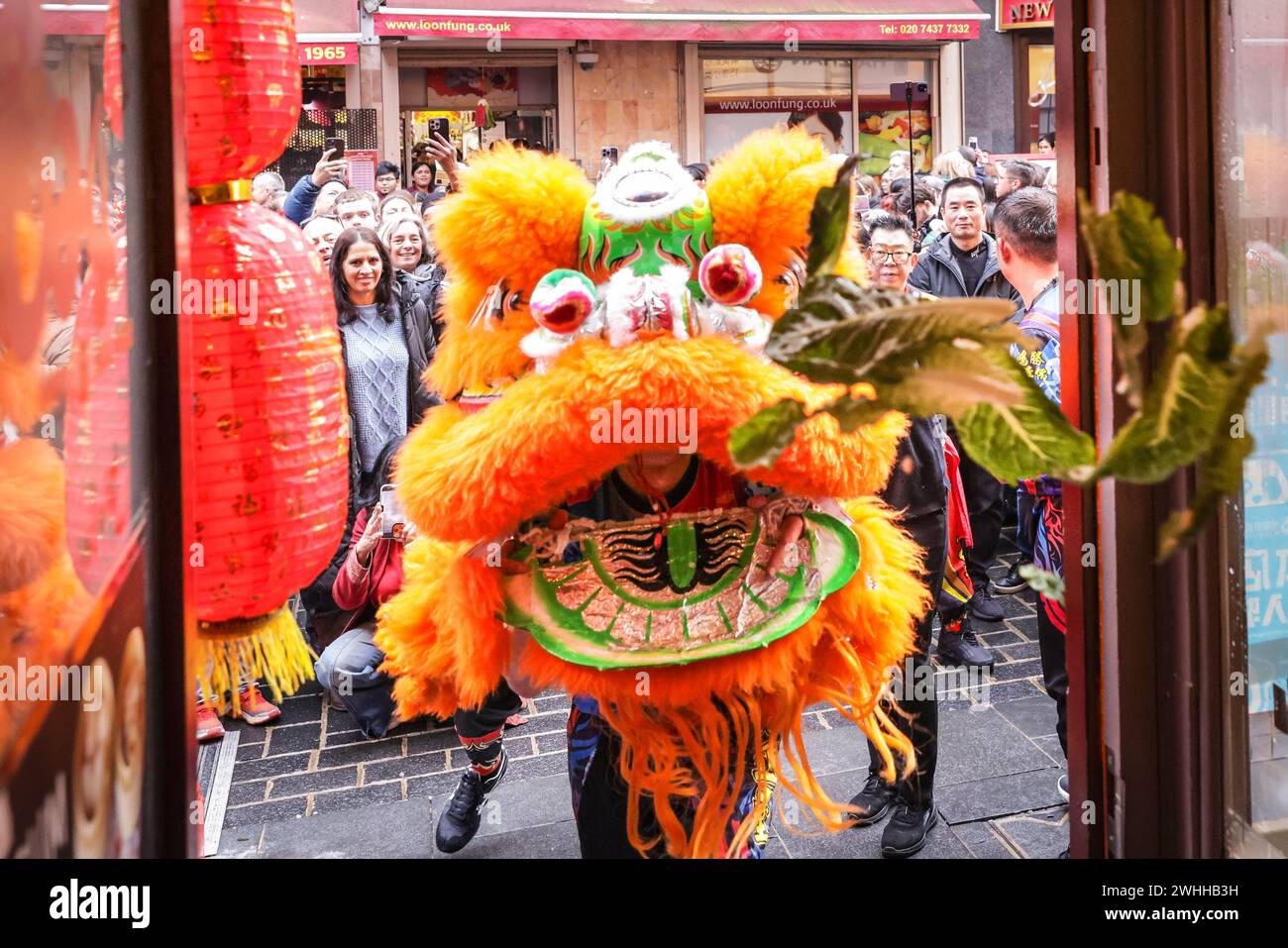 London UK 10th Feb 2024 The Lion Having Taken The Cabbage Throws   London Uk 10th Feb 2024 The Lion Having Taken The Cabbage Throws It Back Into The Shop Chinese Shops And Restaurants Hang Up Cabbage Which Represents Prosperity As An Offering To The Lion Who Eats The Cabbage And Dances Hopefully Bringing Luck And Prosperity To The Business A Lion Dance Forms Part Of The Chinese New Year Celebrations In Londons Chinatown And Soho Celebrations Will Continue On Saturday And Sunday With Traditional Performances A Parade Sunday And Colourful Decorations 2024 Is The Year Of The Dragon In The Chinese Calendar Credit Imageplotteralamy Live News 2WHHB3H 