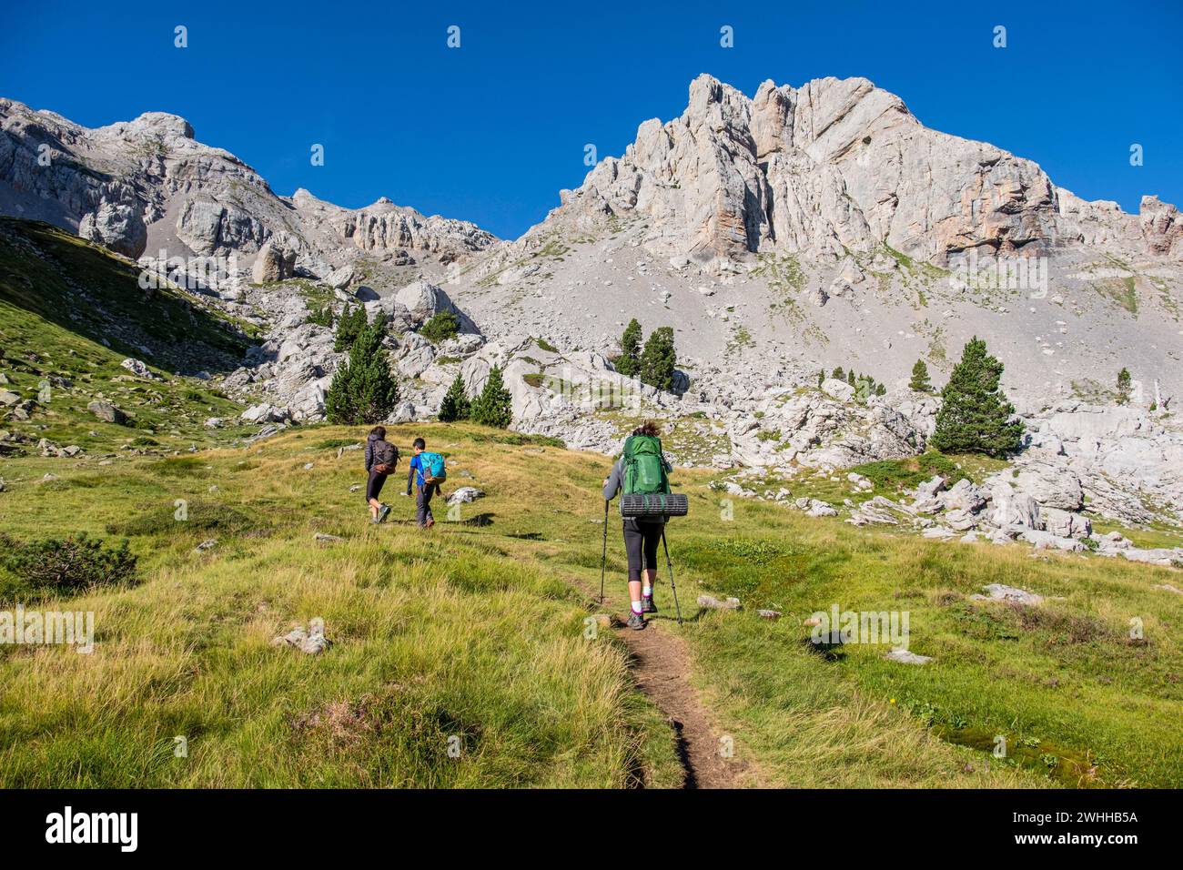 Diversidad diversidad conservación hi-res stock photography and images ...