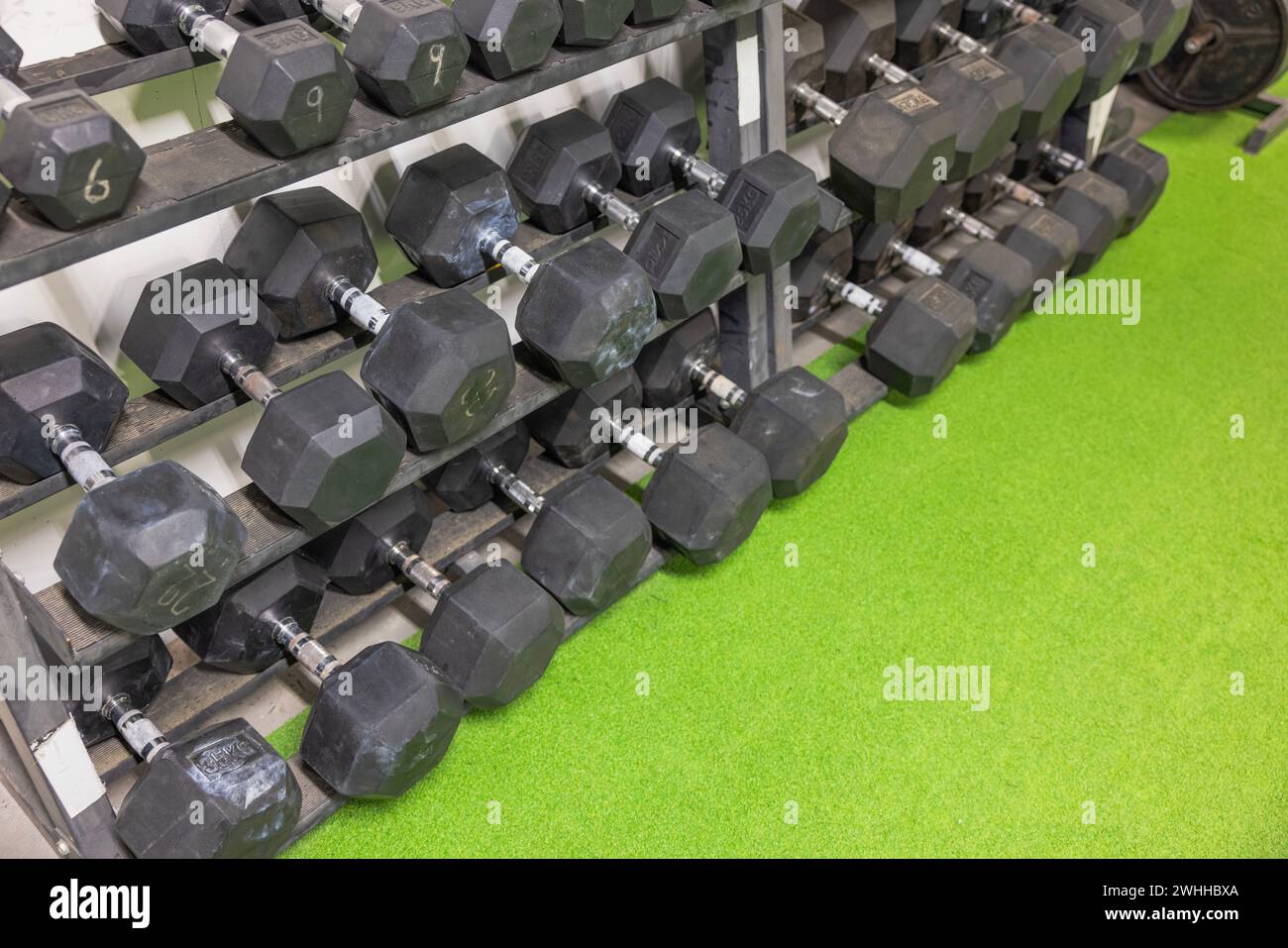 Close-up look at racks holding dumbbells of varying weights for comprehensive training experience. Sweden. Stock Photo