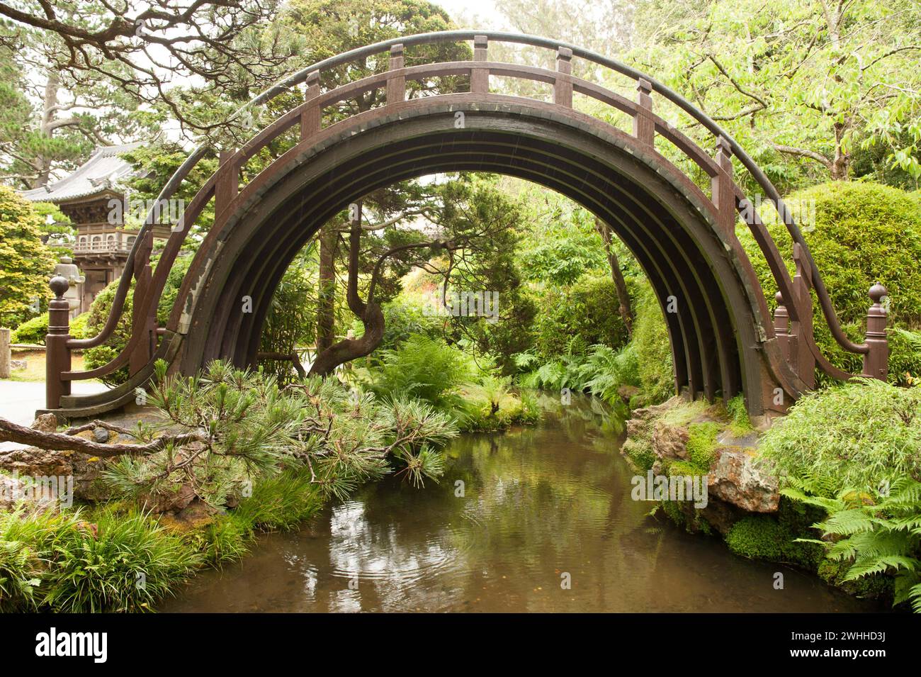 Japanese Garden - San Francisco Stock Photo