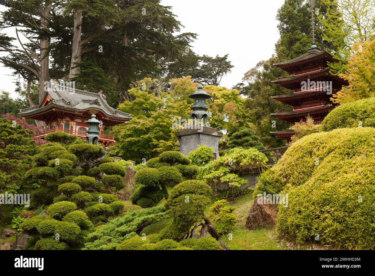 Japanese Garden - San Francisco Stock Photo