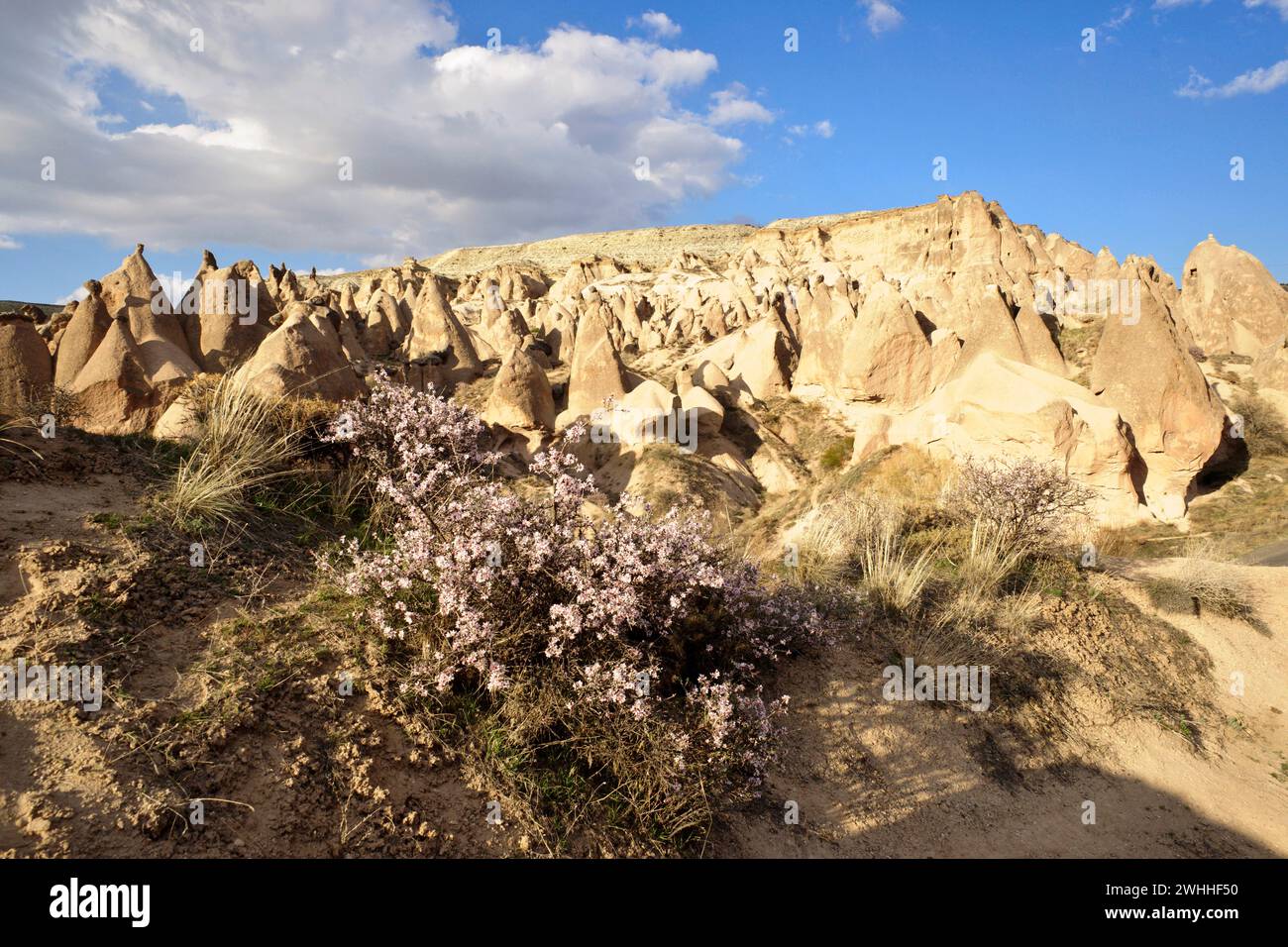 Imperio otomano hi-res stock photography and images - Alamy