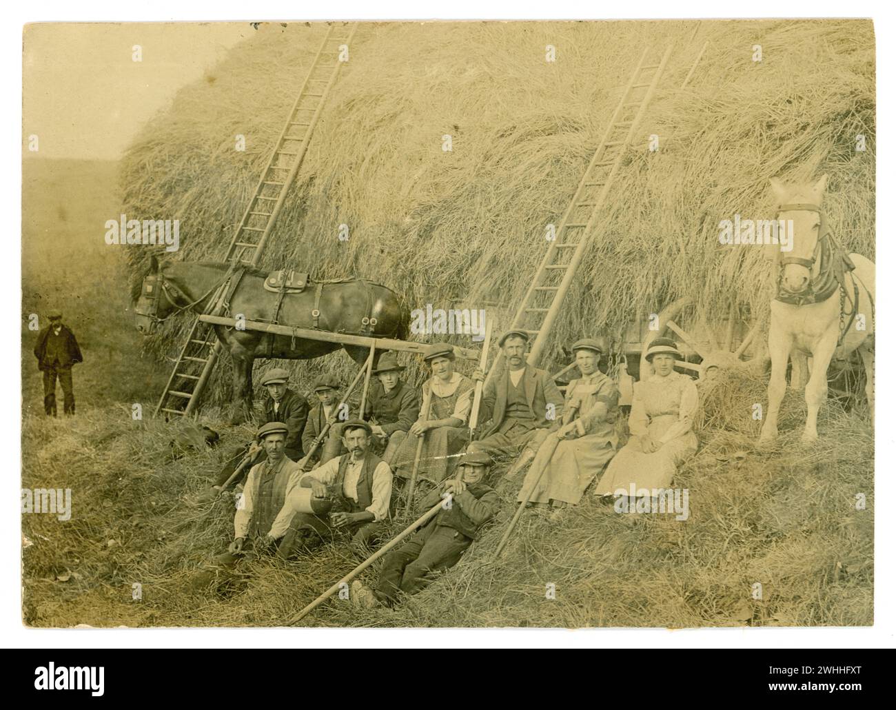 Original WW1 era postcard of harvest scene with agricultural workers, one is a land army girl - wearing a 3 mths service armband. Written on reverse is Preston Court Farm  unknown location. Dated 1916 Stock Photo