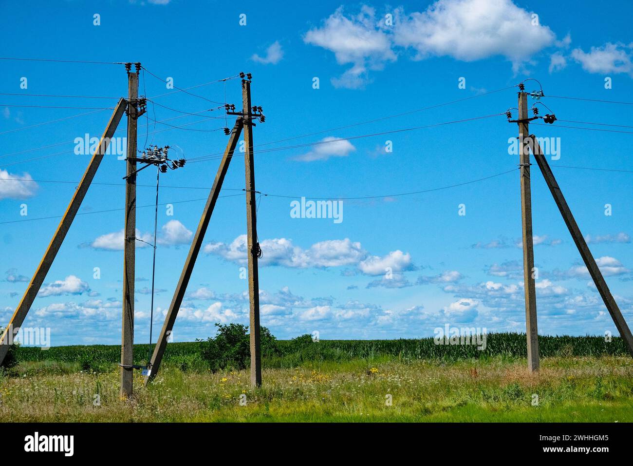 Utility poles stand in a grassy field, wires connected, under a partly cloudy sky. Stock Photo