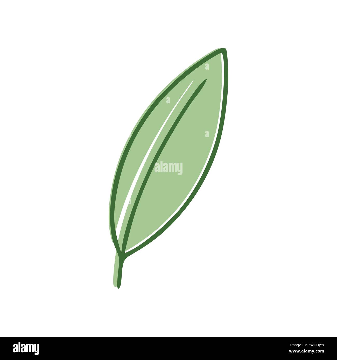 Green Leaf flat icon isolated on white background. Vector illustration ...