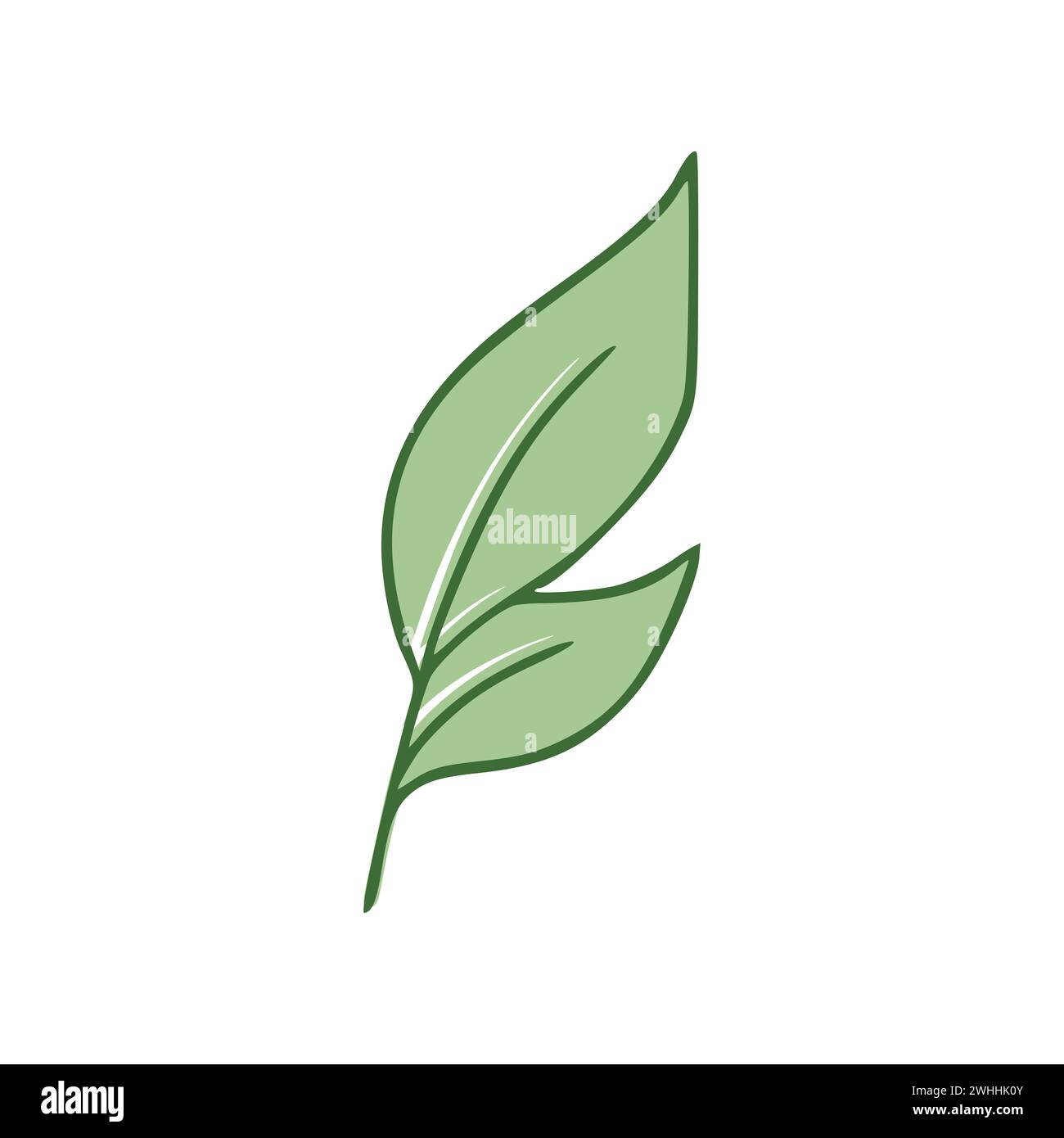 Green Leaves flat icon isolated on white background. Vector ...