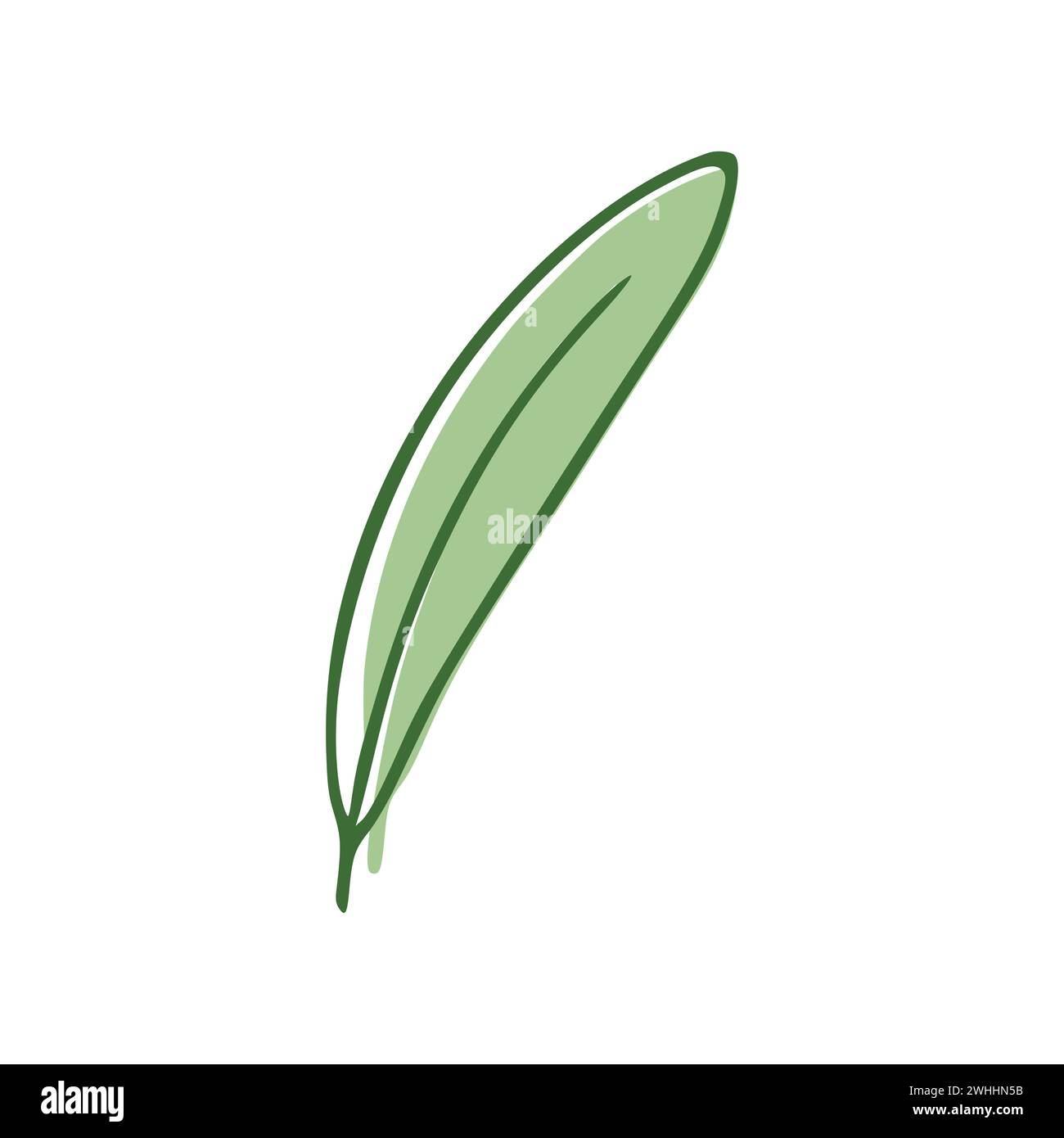 Green Leaf flat icon isolated on white background. Vector illustration ...