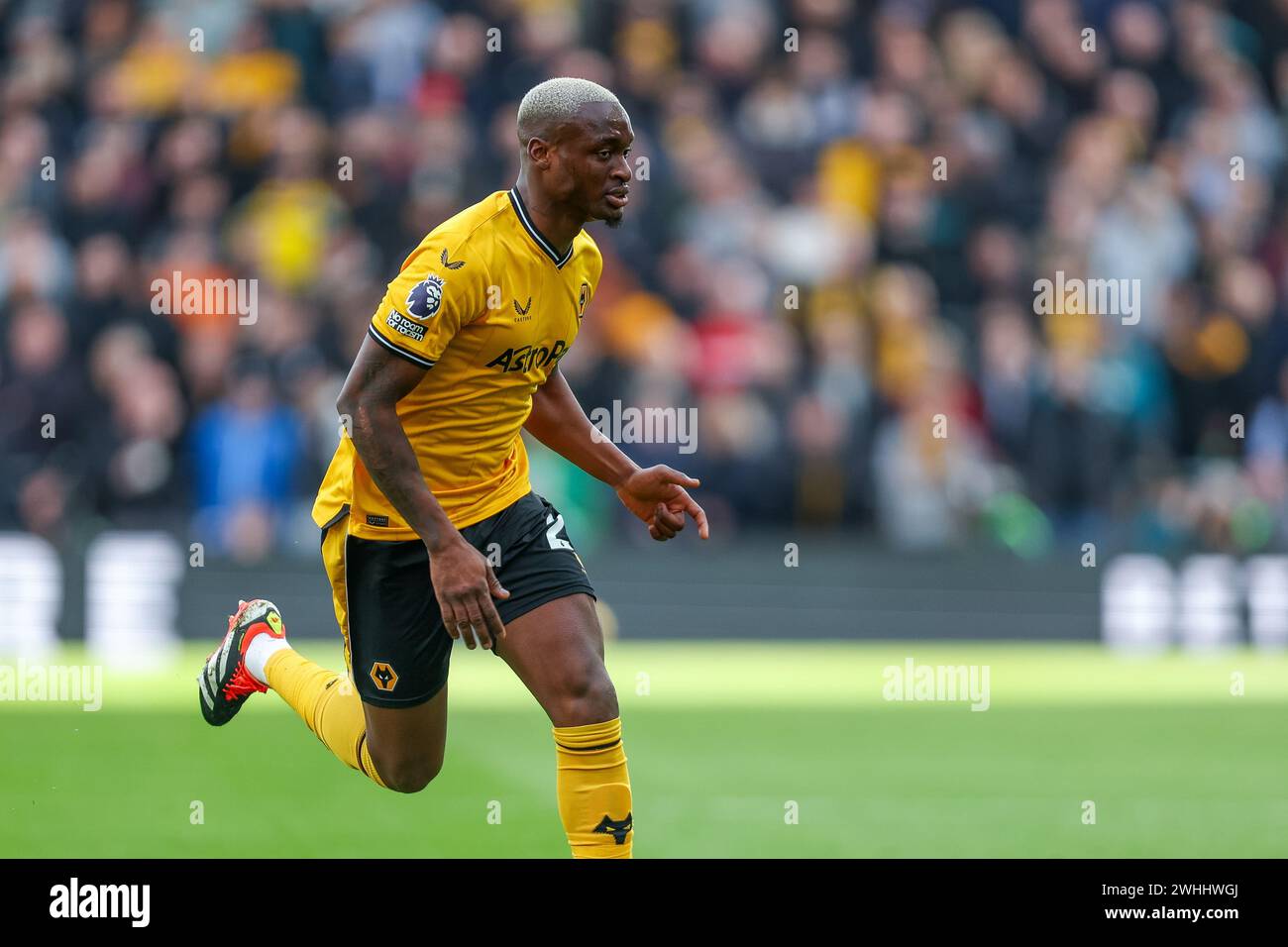 Wolverhampton, UK. 10th Feb, 2024. Wolves' Toti races forward during the Premier League match between Wolverhampton Wanderers and Brentford at Molineux, Wolverhampton, England on 10 February 2024. Photo by Stuart Leggett. Editorial use only, license required for commercial use. No use in betting, games or a single club/league/player publications. Credit: UK Sports Pics Ltd/Alamy Live News Stock Photo