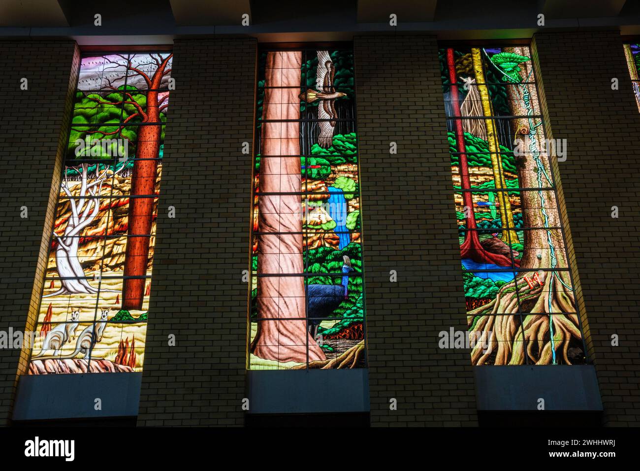 The Creation Windows, St Monicas Cathedral, Cairns, Queensland ...