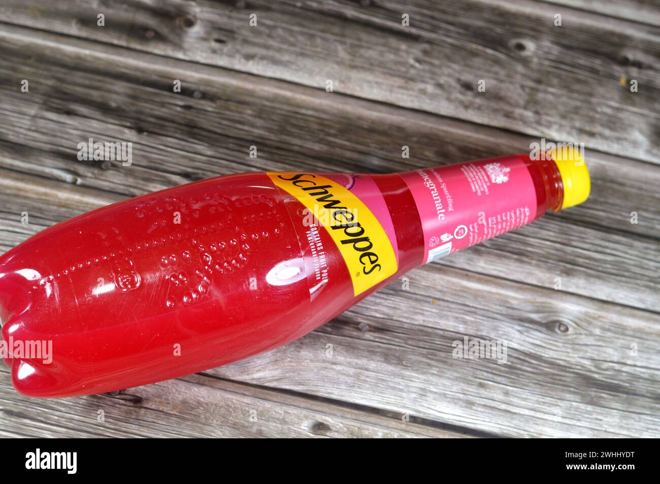 Cairo, Egypt, February 7 2024: Schweppes premium sparkling soft drink contains fruit pulp pomegranate flavor, Schweppes is a beverage brand that origi Stock Photo