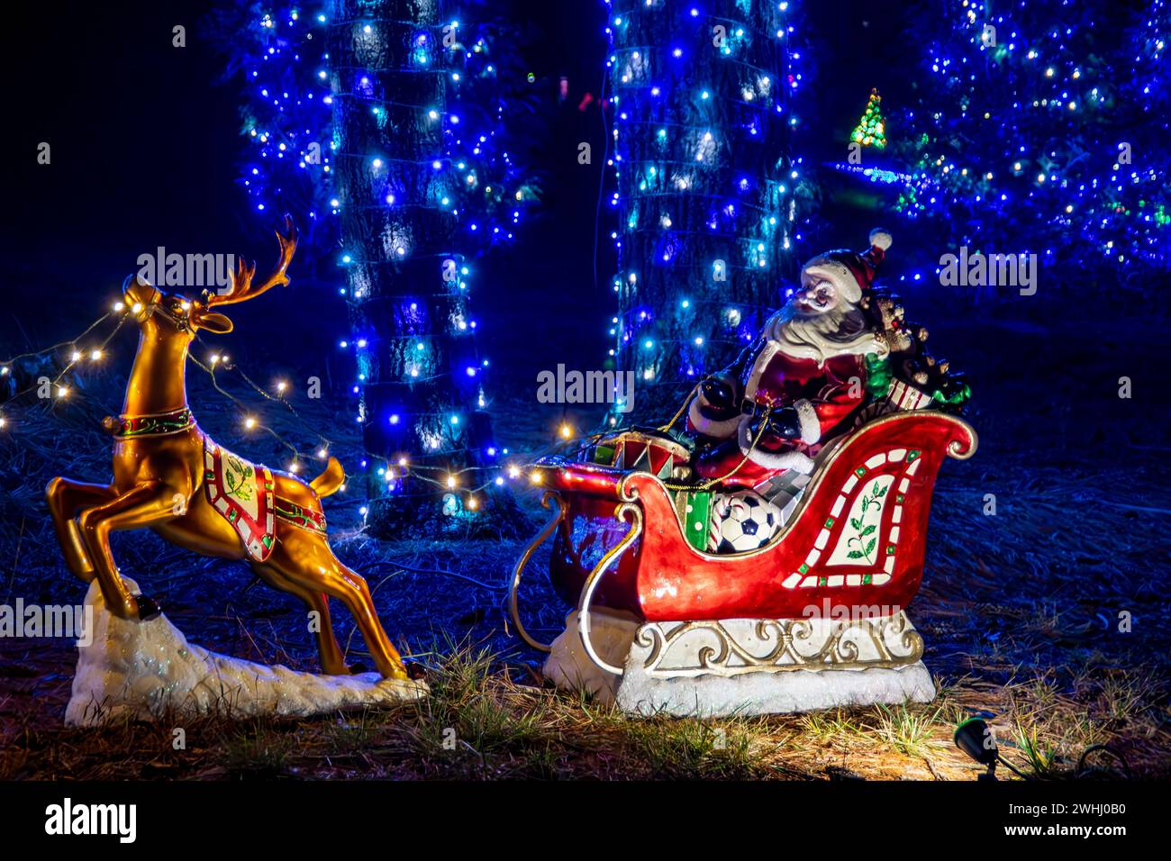 Colorful Nighttime Holiday Display Featuring A Lit Reindeer And Santa Claus In A Sleigh Decoration, Surrounded By Blue-Lit Trees And Festive Ornaments. Stock Photo