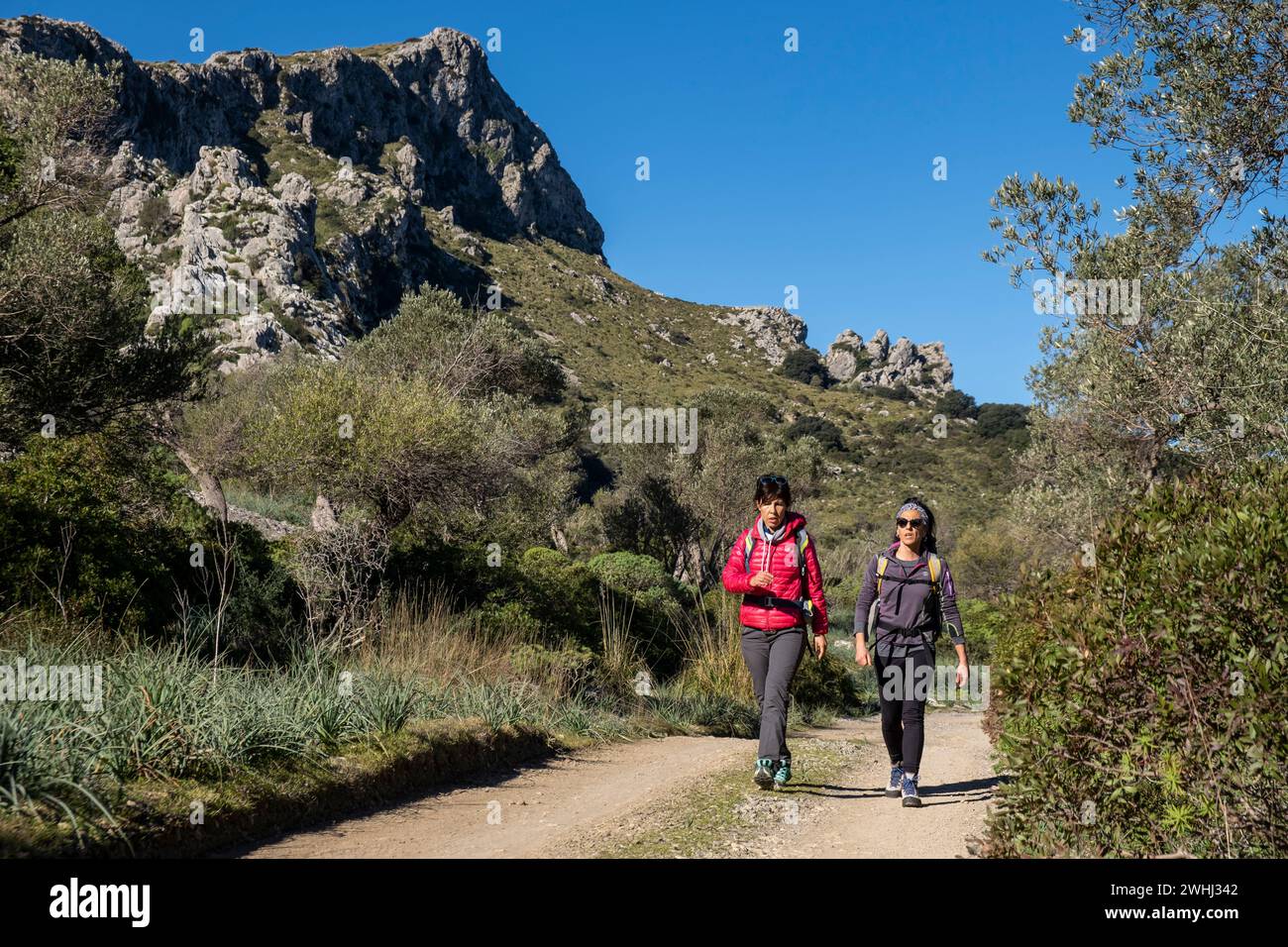 Two females only walking hi-res stock photography and images - Alamy