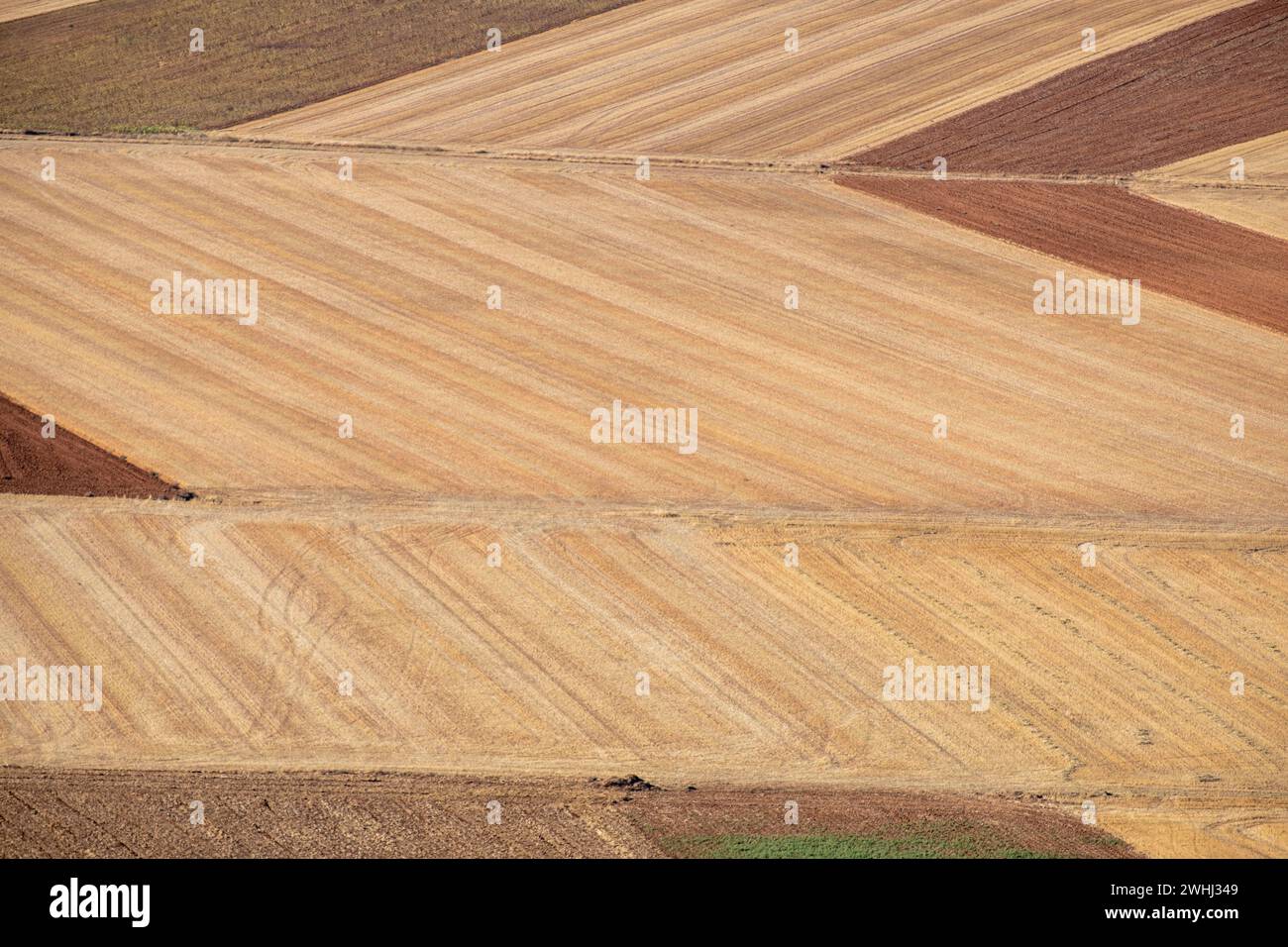 Campos de secano Stock Photo