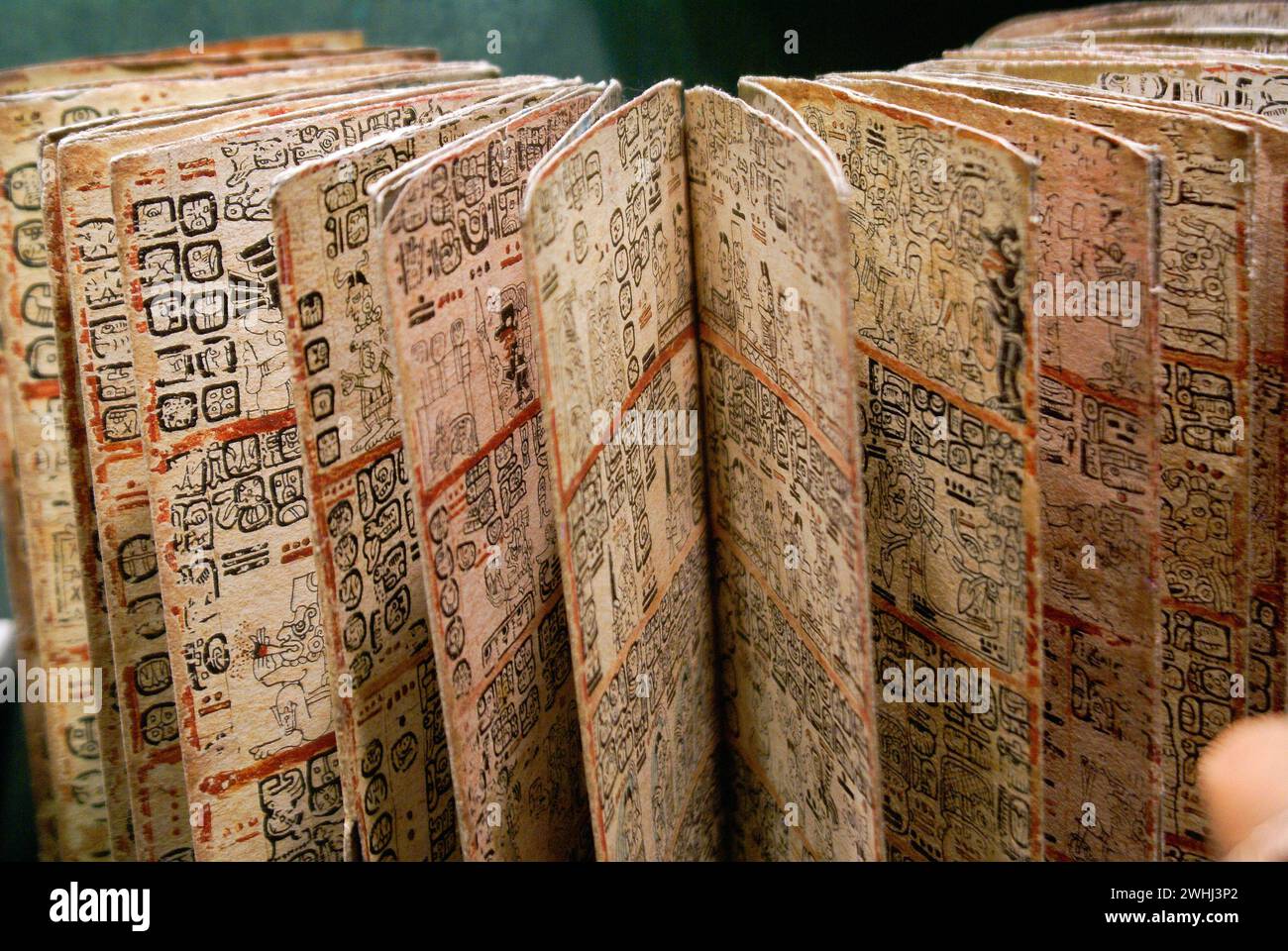 Codex Grolier. Maya Culture. National Museum of Anthropology. State of Mexico D.F. Mexico. Stock Photo