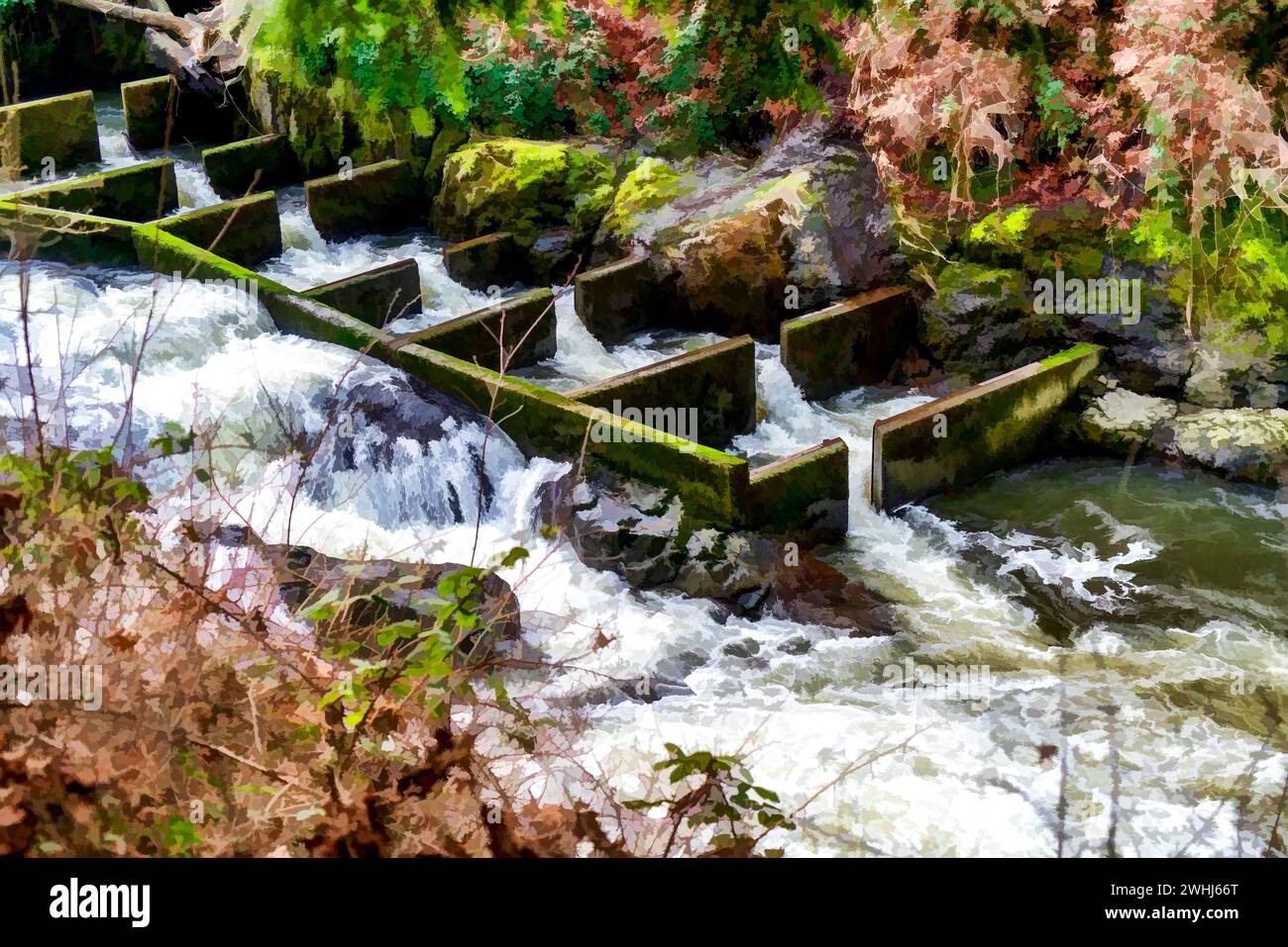 Fish ladder illustration hi-res stock photography and images - Alamy