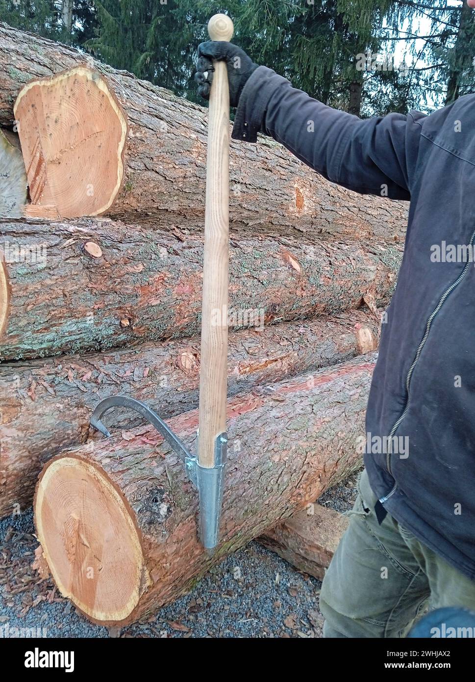 solid cubic meter as a unit of measurement in wood and timber industry