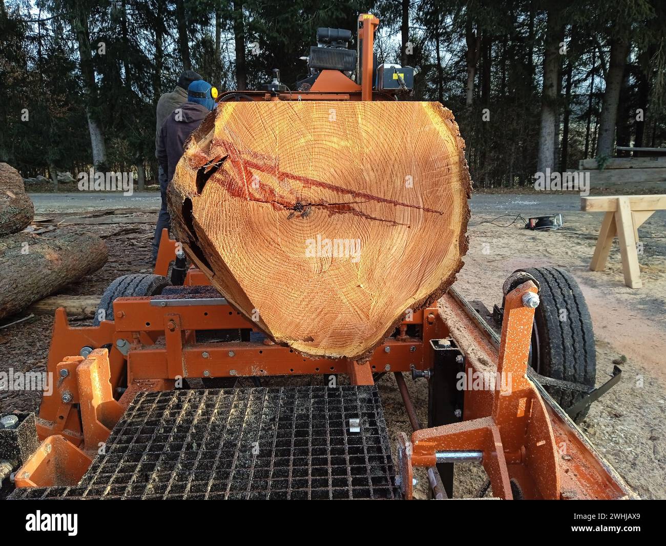 Mobile sawmill in the wood industry Stock Photo