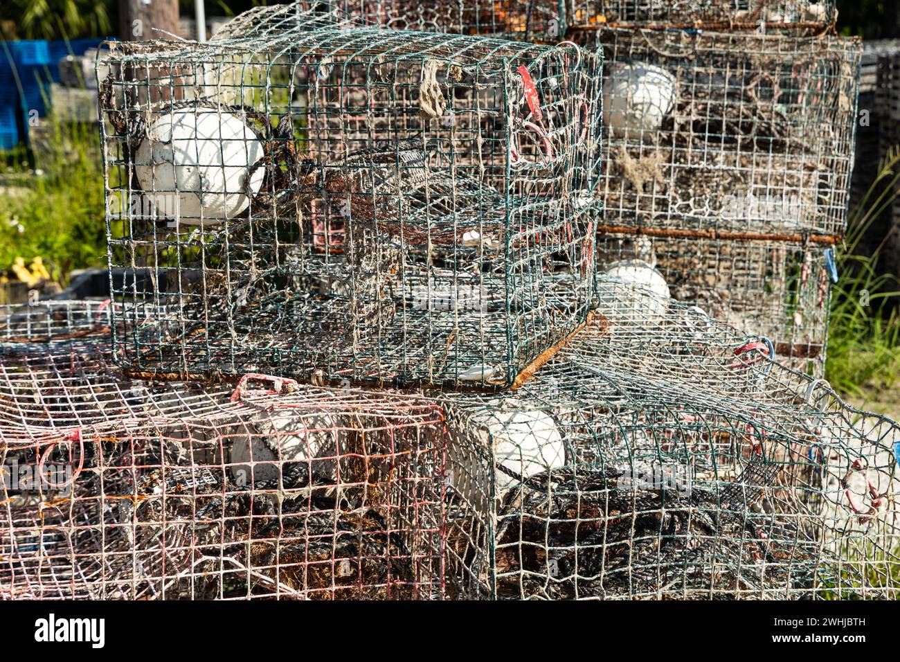 Crab trap boxes in Florida Stock Photo