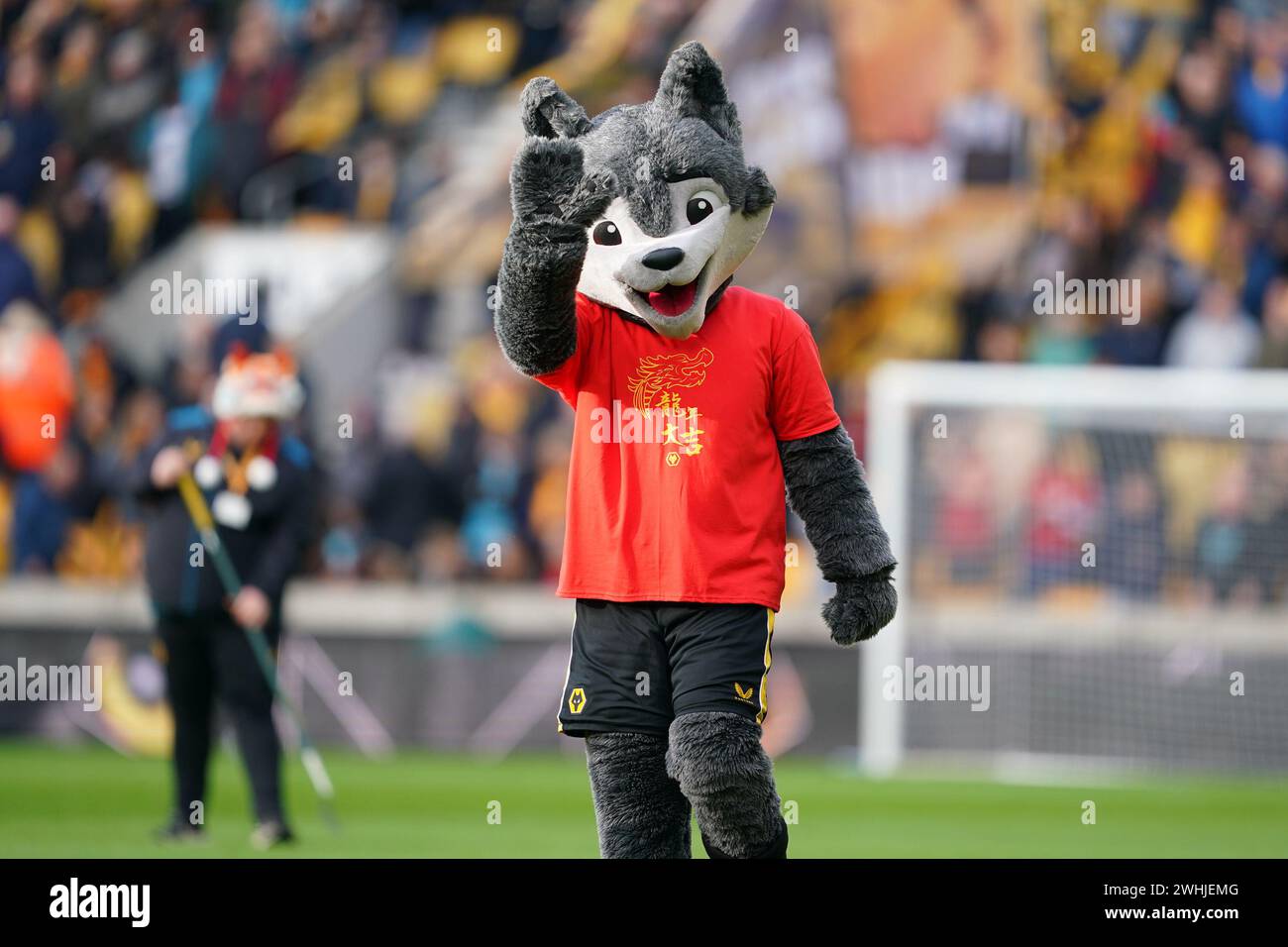 Wolverhampton, UK. 10th Feb, 2024. The Wolves mascot before the Premier League match between Wolverhampton Wanderers and Brentford at Molineux, Wolverhampton, England on 10 February 2024. Photo by Scott Boulton. Editorial use only, license required for commercial use. No use in betting, games or a single club/league/player publications. Credit: UK Sports Pics Ltd/Alamy Live News Stock Photo