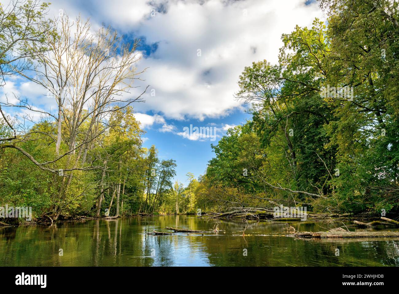 Krutynia in Masuria in Poland Stock Photo