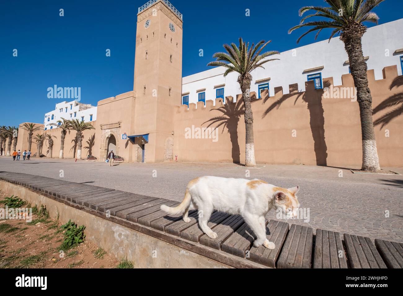 Essaouira Stock Photo